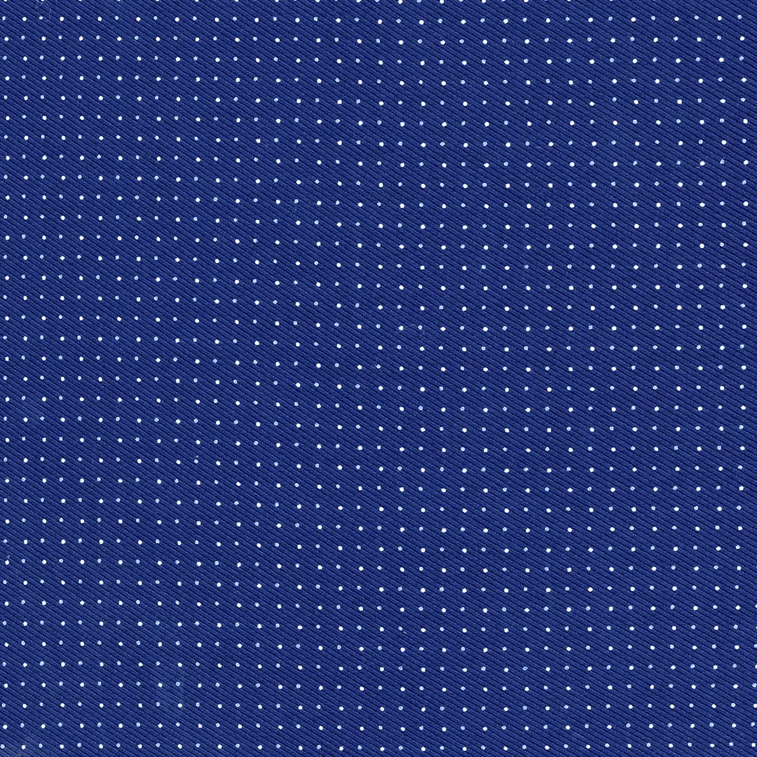 Blue & White Dotted